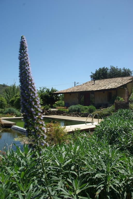 Quinta Do Arade - Casa 4 Petalas Villa Barranco do Resgalho Eksteriør bilde